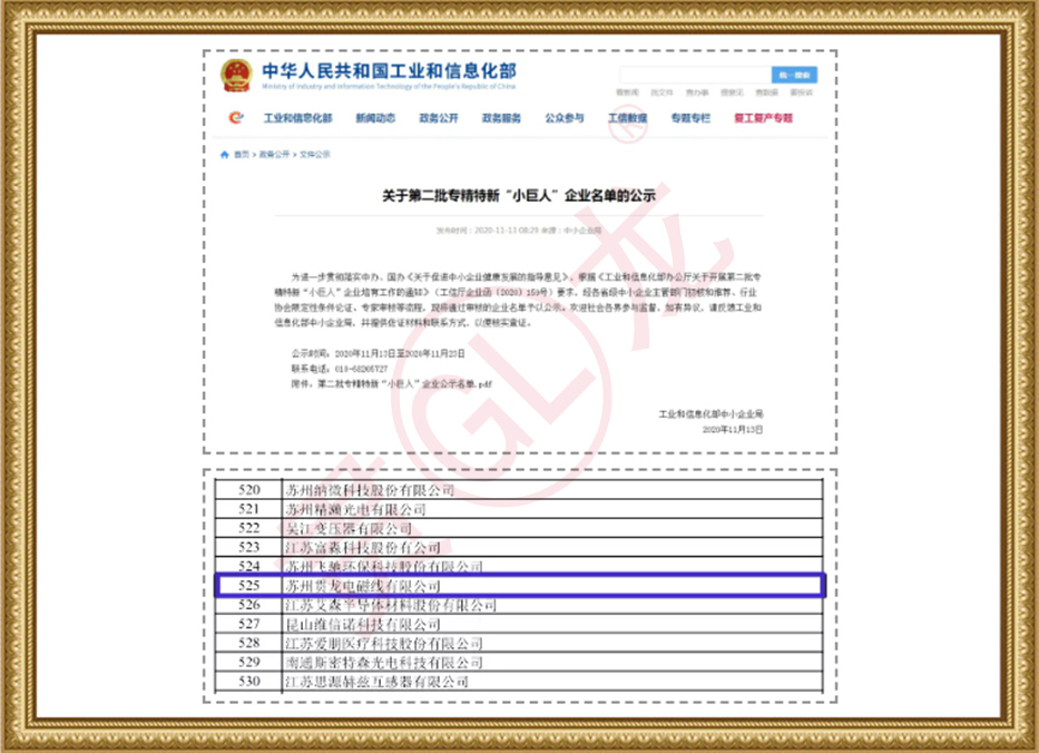 專精特新小巨人